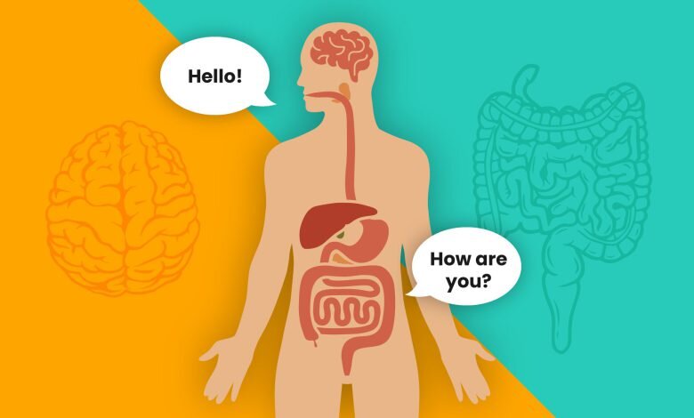 روده دومین مغز شماست؛ چگونه میکروبهای روده بر سلامت ما تأثیر میگذارند؟ 1 روده دومین مغز شماست؛ چگونه میکروبهای روده بر سلامت ما تأثیر میگذارند؟