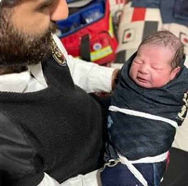 نوزاد عجول در دل برف به دنیا آمد/ عکس