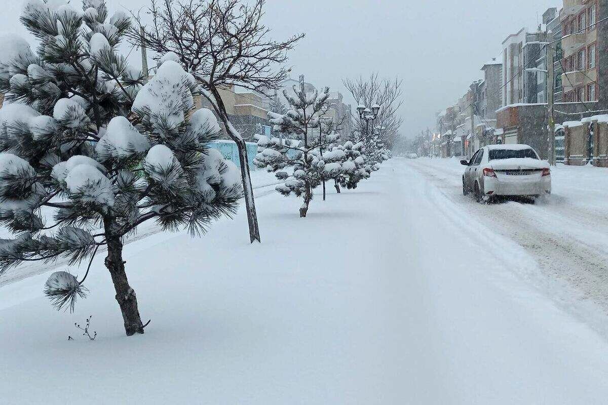 ببینید | بارش برف در اردبیل در آستانه سال نو