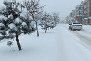 موج شدید بارش‌ برف در مناطق شمالی تهران/ یک مقام مسئول در شهرداری: شرایط خاص است