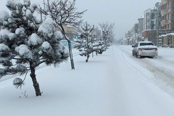 موج شدید بارش‌ برف در مناطق شمالی تهران/ یک مقام مسئول در شهرداری: شرایط خاص است