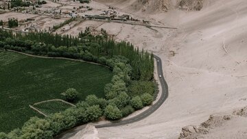 تبدیل شورهزار به گلستان در چین