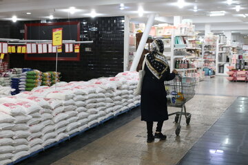 پشت پرده جهش قیمت برنج ایرانی / پای دلار در میان است؟