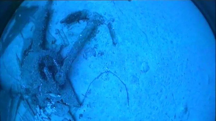 موج عظیمی که به سرنشینان فرصت فرار نداد/ معمای غرق شدن «اساس نمسیس» 2 موج عظیمی که به سرنشینان فرصت فرار نداد/ معمای غرق شدن «اساس نمسیس»