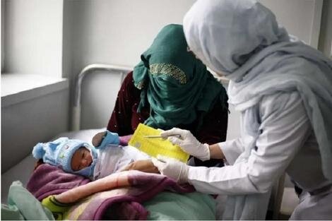 - سهم قابل توجه اتباع در آمار فرزندآوری در ایران/ افزایش ۷۰ درصدی آمار تولد از مادران غیرایرانی طی ۵ سال