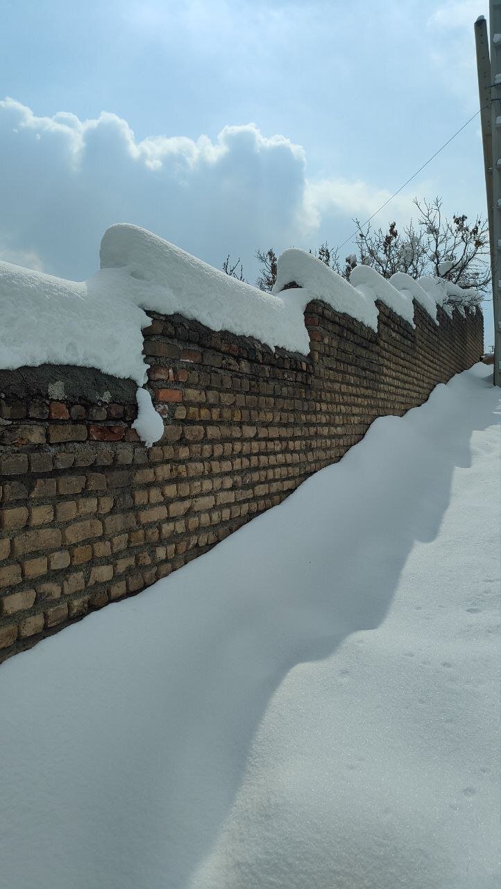 تصاویری از دفن شدن خودروها زیر برف در این منطقه تهران تصاویری از دفن شدن خودروها زیر برف در این منطقه تهران