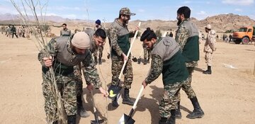 سازمان بسیج سازندگی ، همراه اداره کل منابع طبیعی و آبخیزداری استان سمنان در طرح کاشت یک میلیارد درخت