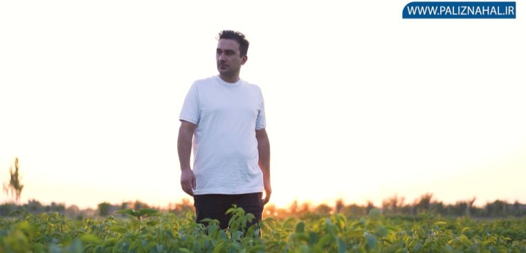 فروش ویژه تا ۲۰ اسفند | خرید انواع نهال ۳۰ تومان از نهالستان پالیز