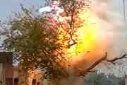 ببینید | آتش گرفتن درخت گرفتار در کابل برق