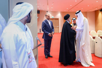 الرئيس الإيراني يلتقى أمير قطر في الجزائر