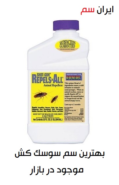 روشهای قطعی از بین بردن سوسکهای فاضلاب