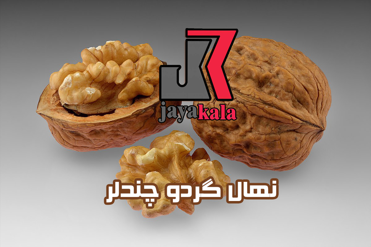 با خرید نهال و کالا هم جایزه ببر هم عیدی بگیر