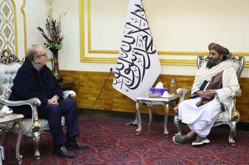 ملابرادر: سطح تولید مواد مخدر به صفر رسیده است/ دنیا با افغانستان برای کشت جایگزین همکاری کند ملابرادر: سطح تولید مواد مخدر به صفر رسیده است/ دنیا با افغانستان برای کشت جایگزین همکاری کند