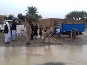 ببینید | برگزاری عروسی در دل سیلاب استان سیستان و بلوچستان