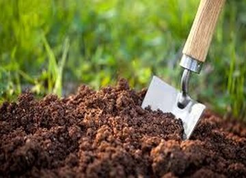 امنیت خاک تضمین کننده امنیت غذایی