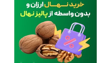 خرید نهال از نهالستان‌ معتبر فقط با ۲۹,۰۰۰ تومان در فرصتی محدود