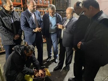 ذخیره‌سازی میوه شب ‌عید در قزوین انجام شد
