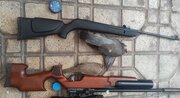 دستگیری دو شکارچی متخلف در شهرستان البرز