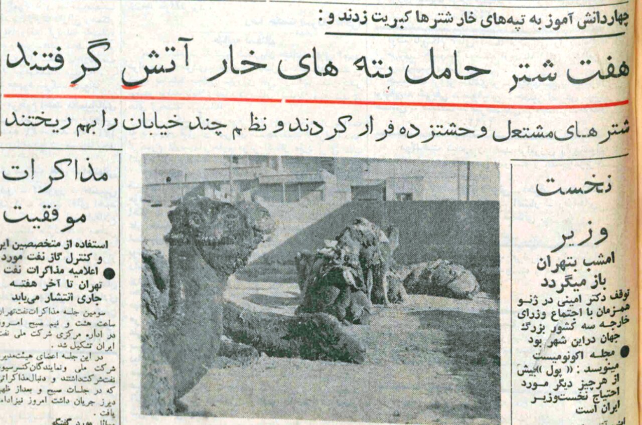 - تهران قدیم| روزی که شیطنت چهارشنبه‌سوری کاروان شتران را در تهران به آتش کشید