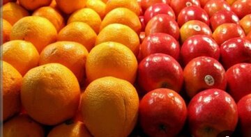 ۶۰۰ تن سیب و پرتقال از امروز در همدان توزیع میشود ۶۰۰ تن سیب و پرتقال از امروز در همدان توزیع میشود