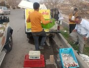 ساماندهی دستفروشان سطح شهر در آستانه عید نوروز 