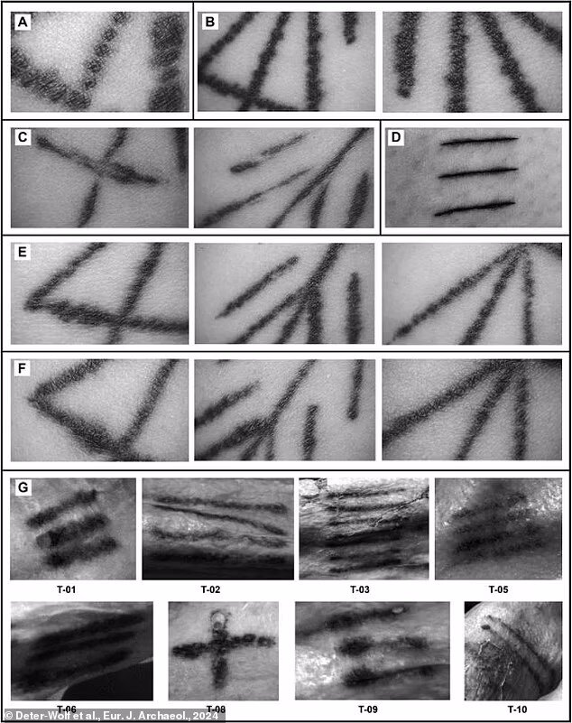 کشف راز قدیمی ترین تتوی جهان / عکس 3 کشف راز قدیمی ترین تتوی جهان / عکس
