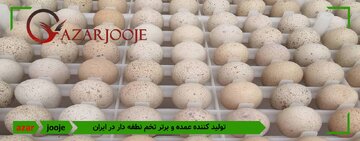 معرفی مرجع تولید تخم نطفه دار طوطی و مرغ