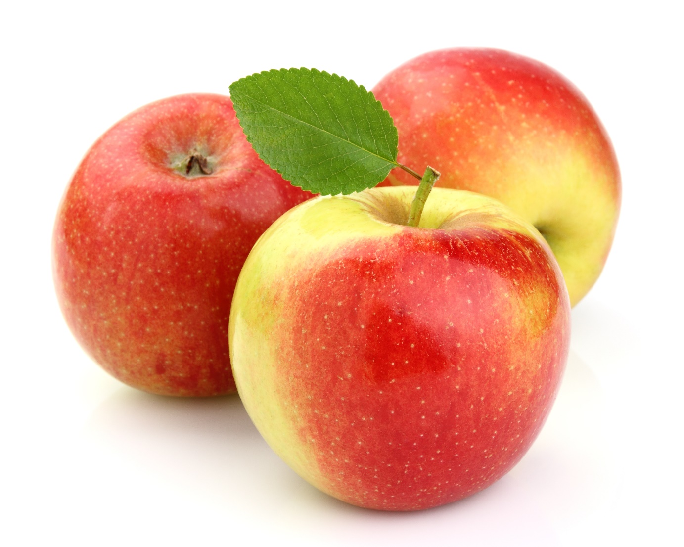 از کجا نهال سیب را تهیه کنیم؟