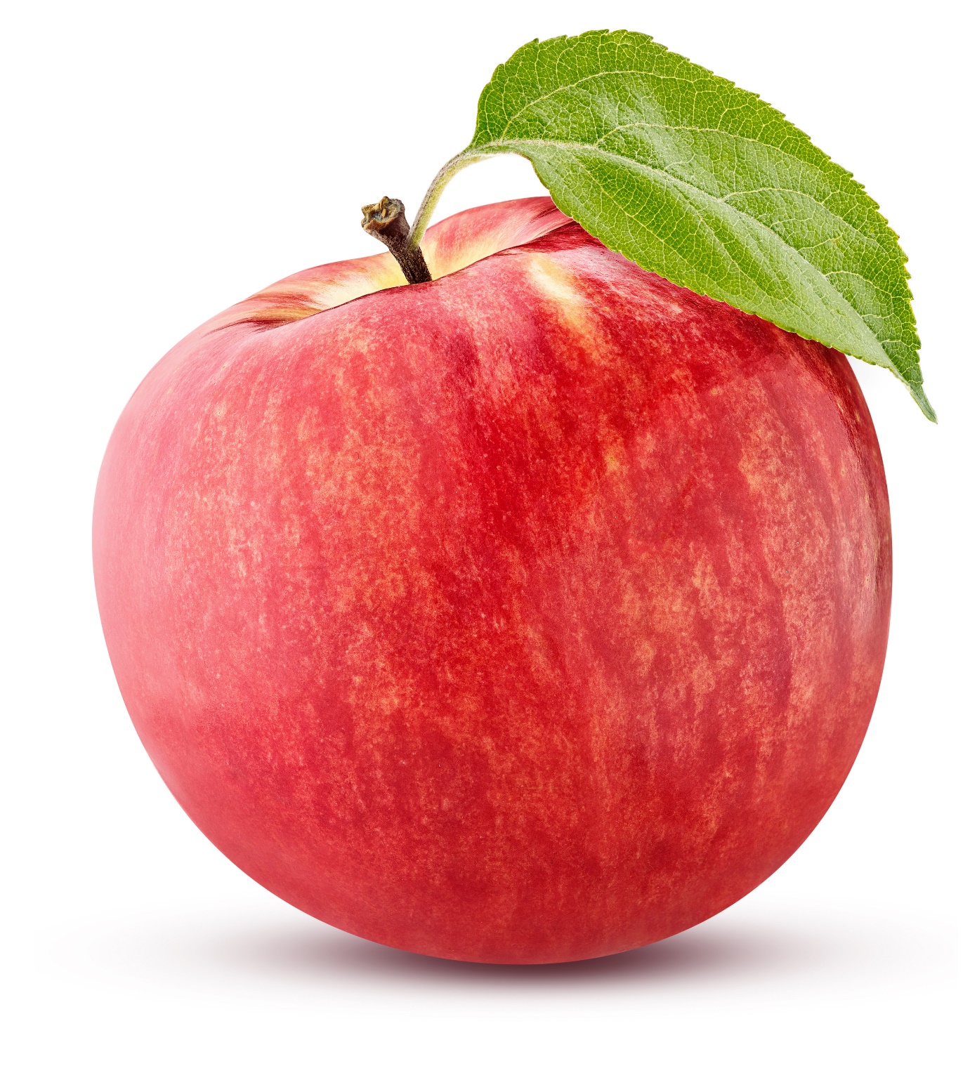 از کجا نهال سیب را تهیه کنیم؟