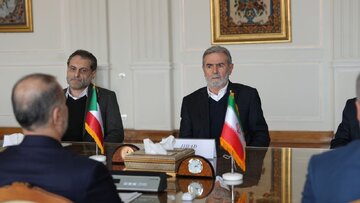 اشتباه عجیب تشریفات وزارت خارجه در نشست وزیر خارجه با زیاد نخاله