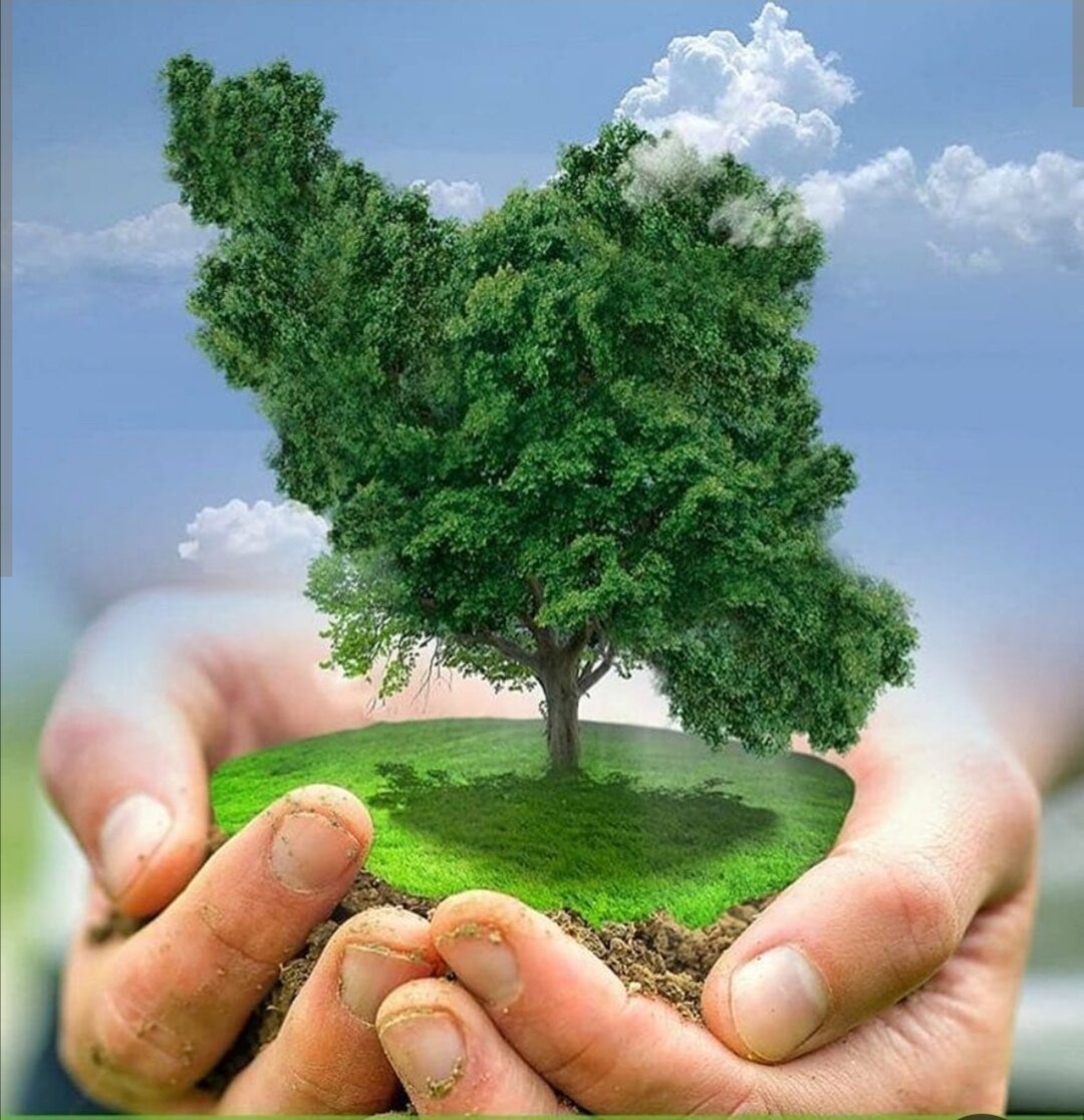 محدودیتهای ترافیکی روز طبیعت در همدان اعلام شد 4 محدودیتهای ترافیکی روز طبیعت در همدان اعلام شد