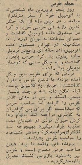 این خرس پارک ساعی را بهم ریخت