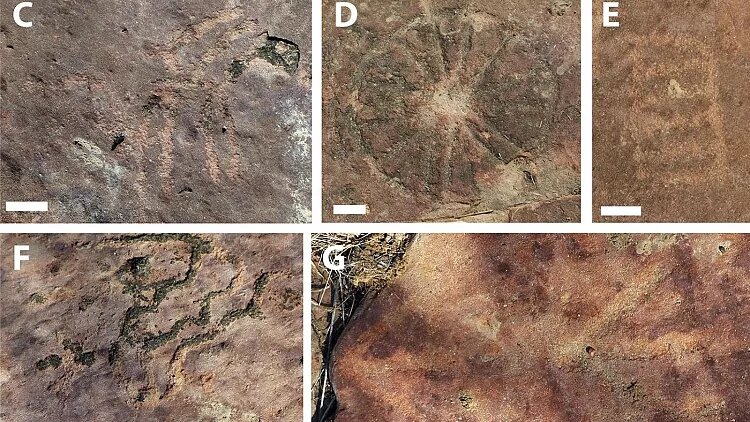 کشف سنگ‌نگاره‌های باستانی از انسان‌های ماقبل تاریخ در کنار ردپای دایناسورها