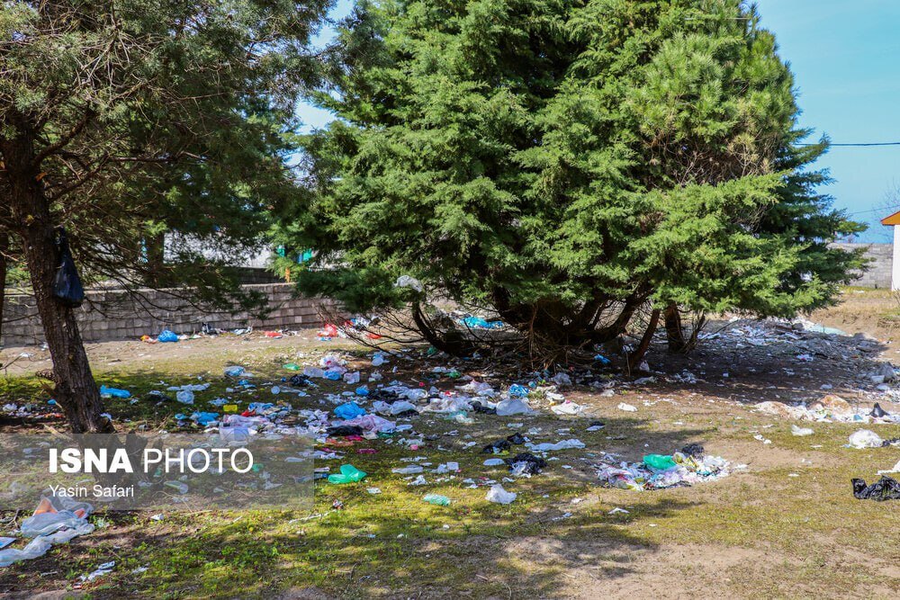 تصاویر عجیب از ریختن زباله در طبیعت