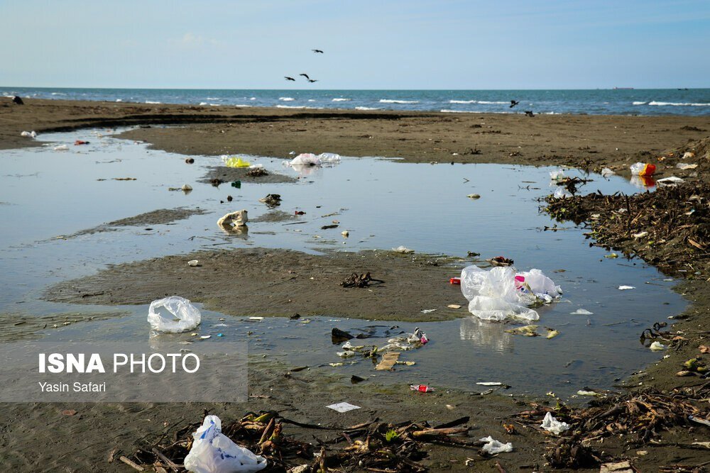 تصاویر عجیب از ریختن زباله در طبیعت