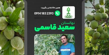 10 ایده طراحی باغ مدرن و تجاری برای درآمد مناسب