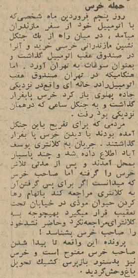 وقتی یک خرس پارک ساعی را بهم ریخت/ عکس