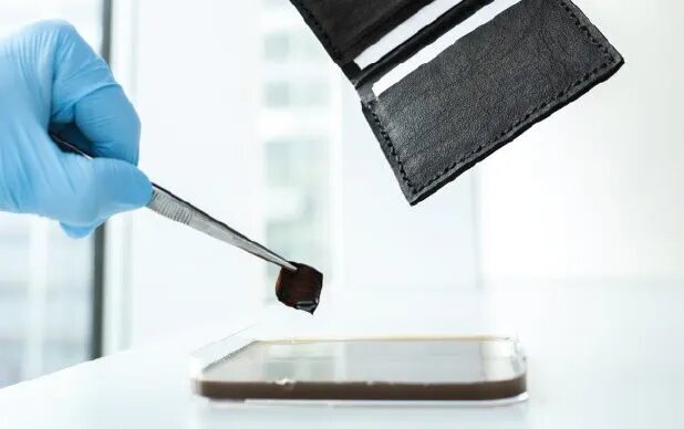 جایگزین چرم و کتان/ کفشی که باکتریها ساختهاند 2 جایگزین چرم و کتان/ کفشی که باکتریها ساختهاند