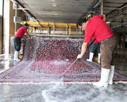 افزایش عجیب نرخ خدمات قالی‌شویی/ هزینه شست‌وشوی فرش چقدر است؟