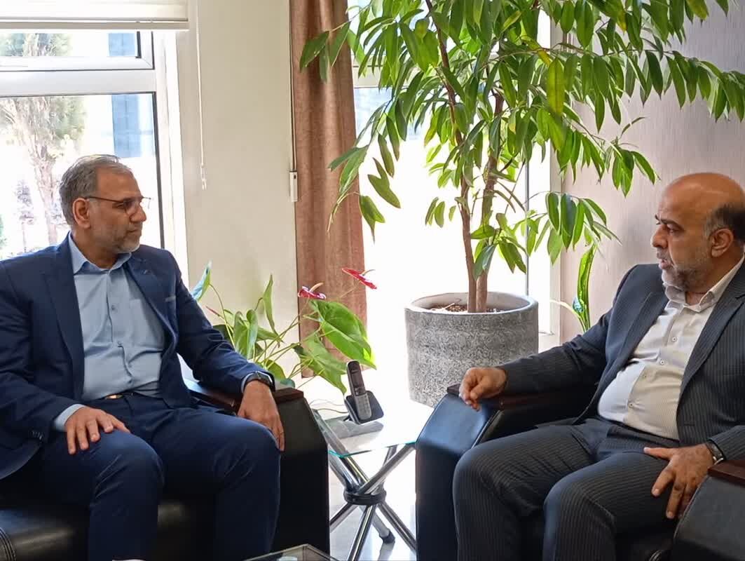 لزوم تقویت تعاملات بینبخشی برای ارتقاء سطح خدماترسانی به زائران و مجاوران رضوی 7 لزوم تقویت تعاملات بینبخشی برای ارتقاء سطح خدماترسانی به زائران و مجاوران رضوی