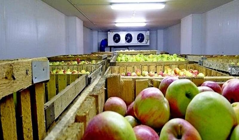 سود سردخانه میوه چقدر است؟ راهنمایی جامع و کامل در خصوص سردخانه صنعتی میوه