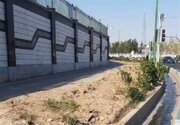 جزئیات قطع درختان در اجرای پروژه زیرگذر میدان سپاه/عکس