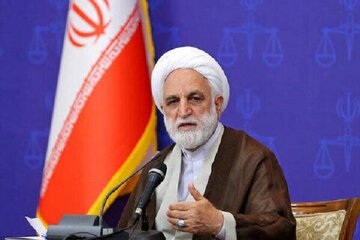 توضیحات اژهای درباره معاون اول قوه قضاییه