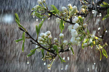 پیشبینی وضعیت دما و بارش کشور تا نیمه خرداد پیشبینی وضعیت دما و بارش کشور تا نیمه خرداد