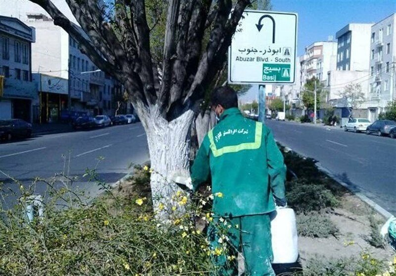 هشدار به تهرانی‌ها؛ شهروندان از لمس این نوع درختان خودداری کنند
