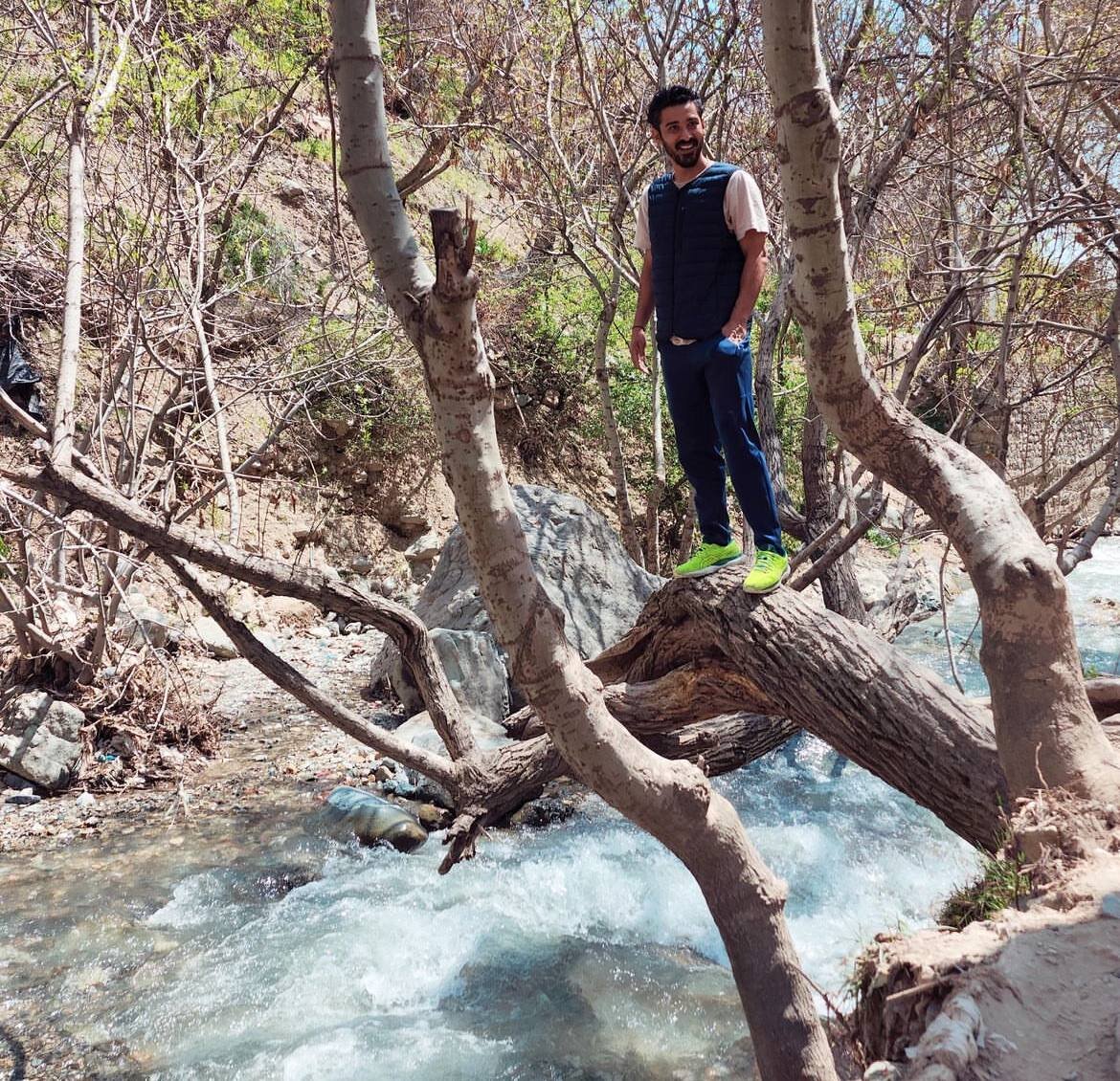 عکس | طبیعتگردی به سبک قوچاننژاد؛ ژست گوچی بالای درخت! 2