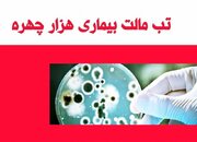 شناسایی ۶۶۸ نفر بیمار مبتلا به تب مالت در استان کردستان