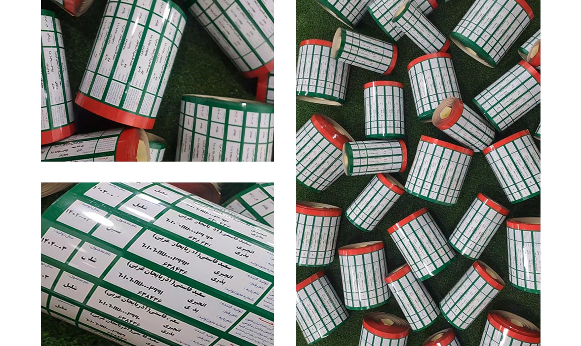 خرید نهال اصلاح شده با قیمت ۲۹ هزار تومان