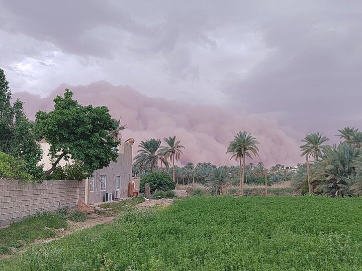 طوفان شدید گرد و غبار برخی مناطق عراق را درنوردید