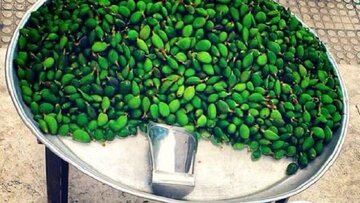 خطر مسمومیت با نوبرانه بهار؛ مراقب مصرف این نوع چغالهها باشید خطر مسمومیت با نوبرانه بهار؛ مراقب مصرف این نوع چغالهها باشید